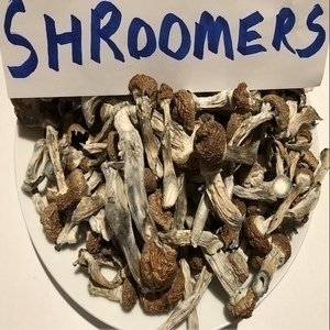 Magic Mushrooms 30g Free Ship