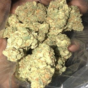 Grand Daddy Purple -Sour Diesel