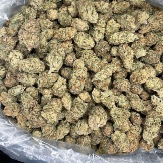 marjuan cannabis