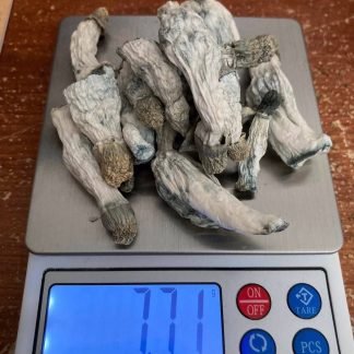 Mushrooms Alpha Shtorms