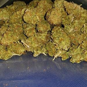 amnezia haze x 50gr