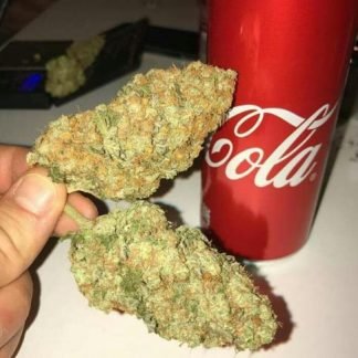 OG Kush 28g