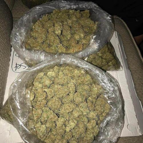 Sour Diesel 1oz (1 ounce)
