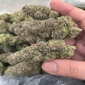 Buy Midical Cannabis(Marijuana)