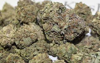 BUY HIGH GRADE MARIJUANA HP FOR $400