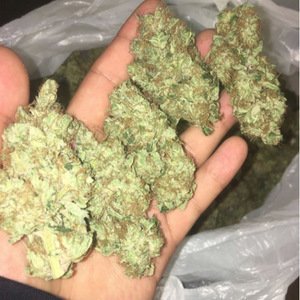 Buy Midical Cannabis(Marijuana)
