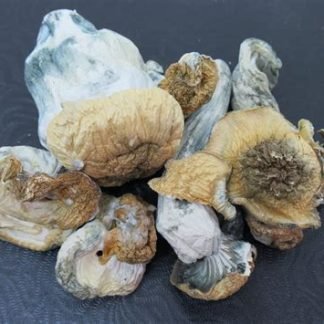 Penis Envy Mushrooms 28g 135 usd