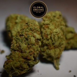 Amnesia Haze 28 Gram