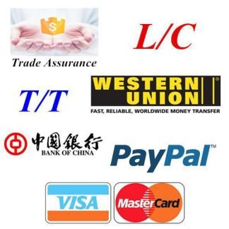 PAYPAL, WU, MG, CREDIT CARD, FAST BANK TO BANK TRA