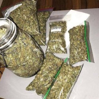 Gelato 41 (1) Pound special (448 grams)