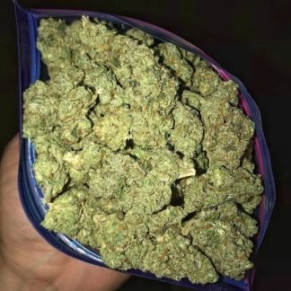 GIRL SCOUT COOKIES CALI HIGH GRADE WEED