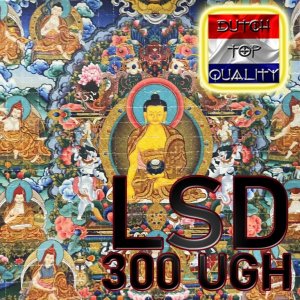 LSD 300 ug DE 2 WW 100X=$300