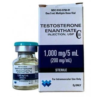 BUY TESTOSTERONE ENANTHATE FOR MUSCLE BUILDING
